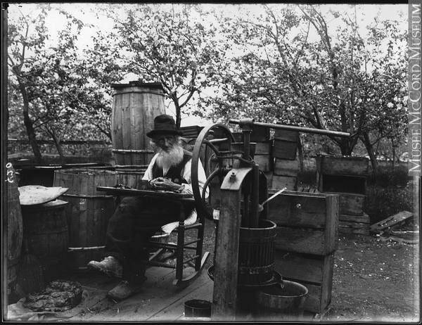 Titre original :  Photograph Francis Peabody Sharp saving apple seeds, Woodstock, NB, 1901 Edwin Tappan Adney 1901, 20th century Silver salts on glass - Gelatin dry plate process 16 x 21 cm MP-1979.111.108 © McCord Museum Keywords:  outdoor (47) , Photograph (77678) , portrait (53878)